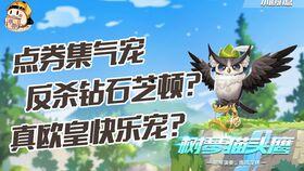 飞车宠物最新爆料,神秘宠物即将亮相，激战一触即发！  第3张